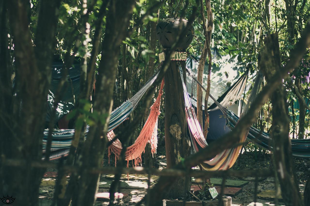 Lagarto Na Banana Hostel Praia de Pipa Ngoại thất bức ảnh